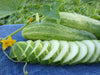 Garden fresh cucumbers, whole and sliced, with vibrant green leaves, yellow blossoms, and tendrils on blue denim.