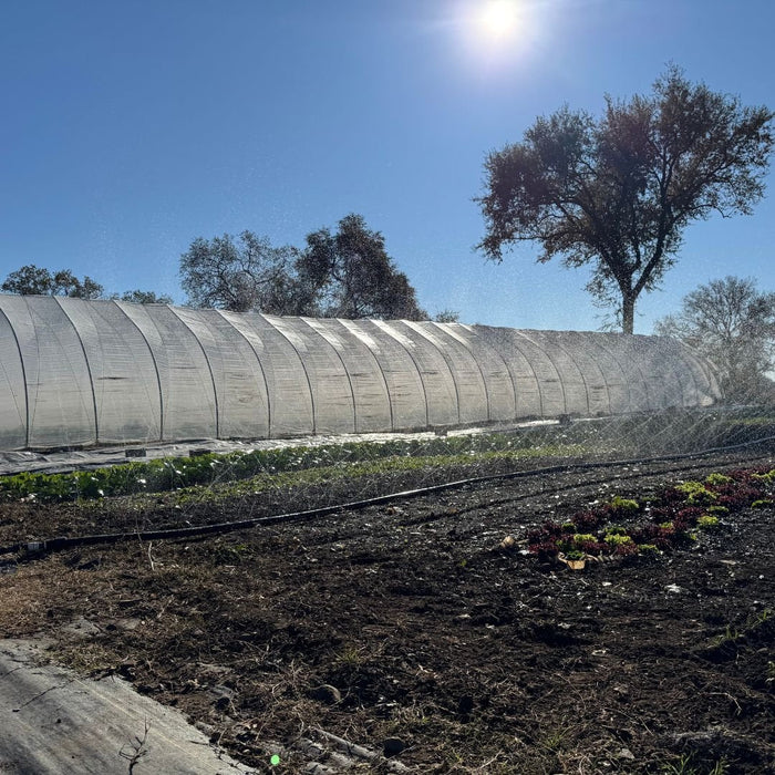 Sumi Soaker Max Irrigation System Kits