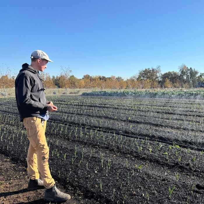 Sumi Soaker Max Irrigation System Kits