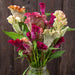 Vibrant Celosia bouquet with pink, orange, cream, green cockscomb and plume flowers in a glass jar.