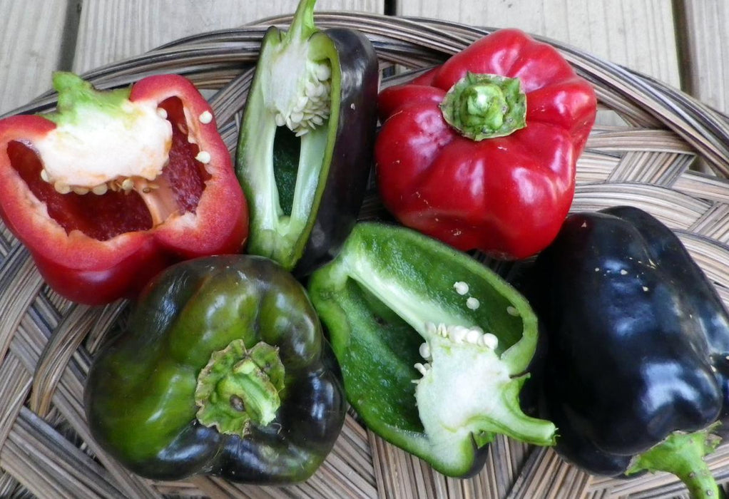 Red, green, and dark purple bell peppers, whole and halved, revealing seeds, on a woven basket.