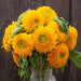 Fluffy yellow 'Teddy Bear' sunflower bouquet in a glass jar. Vibrant fall flowers, garden blooms, home decor.