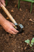 Hand planting green seedling in rich garden soil with a cultivator. Spring gardening.