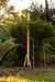 Tall wooden garden cultivator with three metal weeding hoes stands in a sunny vegetable garden among lush plants.