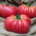 Ripe red heirloom tomatoes, slightly ribbed with green stems and water drops, resting on natural burlap.