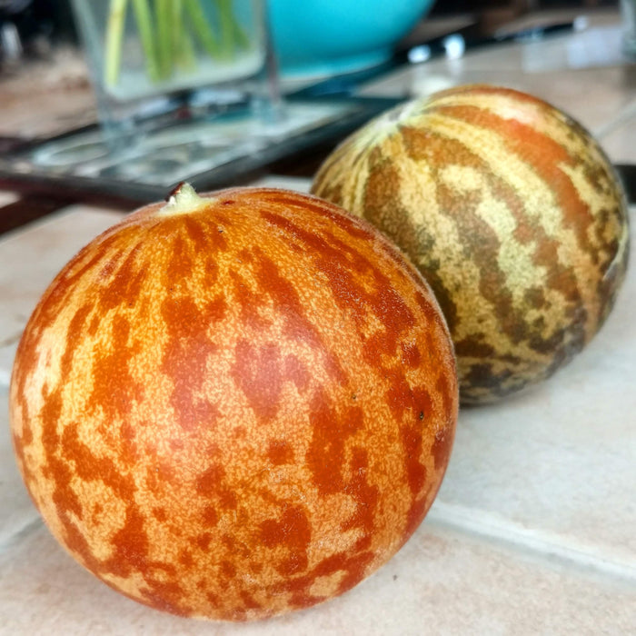 Orange and green striped mini watermelons on a light tile surface. Fresh, unique garden harvest.