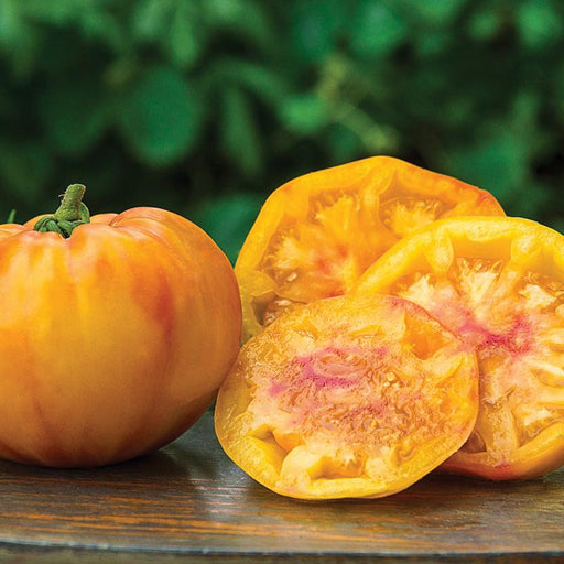 Yellow striped heirloom tomatoes, whole and sliced, showing pink marbled interior. Fresh garden harvest.