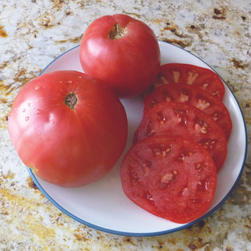 Fresh, ripe red tomatoes; two whole and several slices on a white plate, ready for a healthy meal or recipe.