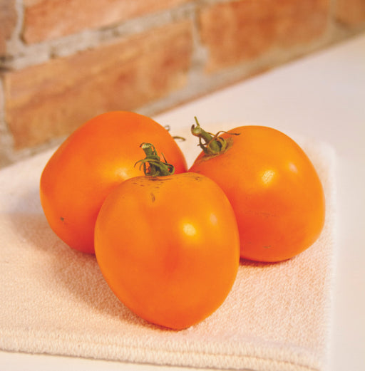 Three fresh orange heirloom tomatoes with green stems on a light towel. Healthy garden produce.