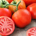 Fresh ripe red tomatoes, whole and sliced, with green stems on a wooden background. Healthy garden produce.