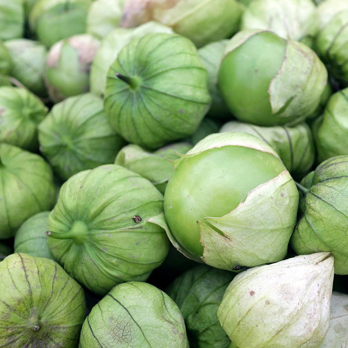 Fresh green tomatillos with papery husks, perfect for salsa verde & Mexican recipes.
