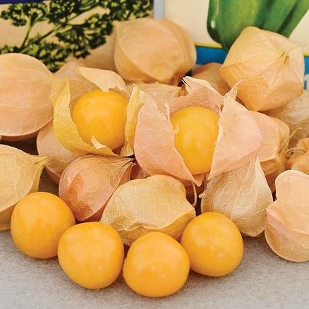 Fresh ground cherries and golden berries, some with papery husks, others showing vibrant yellow fruit.