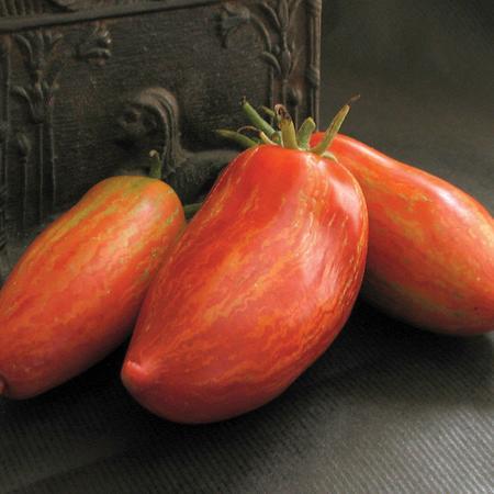 Three vibrant red-orange striped heirloom plum tomatoes with yellow hues.