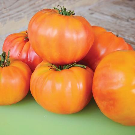 Fresh, vibrant orange beefsteak heirloom tomatoes with green stems on a green surface and wood background.