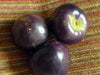 Three glossy dark purple Indigo Rose tomatoes, rich in anthocyanins, on a striped fabric.