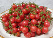 Fresh red cherry tomatoes on the vine, one green, piled high on a rustic plate.