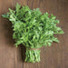Fresh mizuna greens bundle, vibrant green leaves tied with twine on a dark wood background.