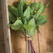 Fresh organic leafy greens with yellow blossoms and red stems, tied with twine on rustic wood.