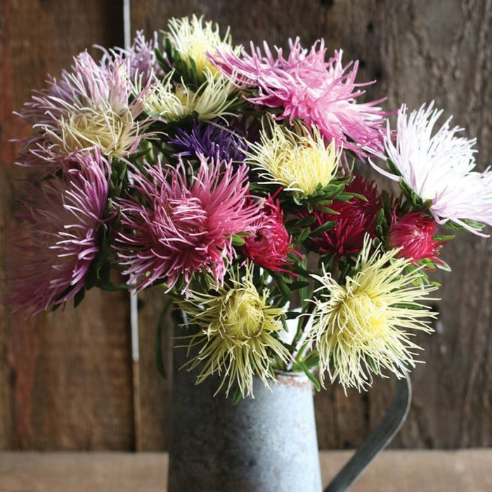 Vibrant spiky aster bouquet: pink, yellow, red, white, purple garden flowers in a rustic metal pitcher on wood.
