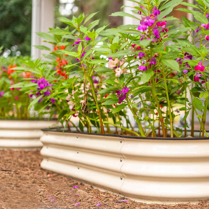 Cream corrugated metal raised garden beds with vibrant purple, pink, and red flowers. Outdoor landscaping.