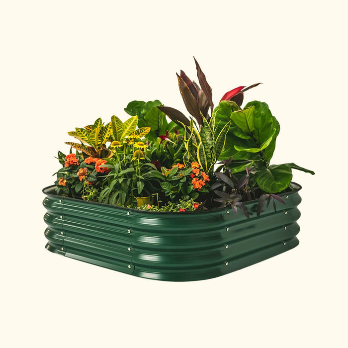 Green corrugated metal raised garden bed filled with vibrant flowers and diverse foliage plants. Perfect for outdoor gardening.