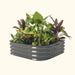 Dark gray corrugated metal raised garden bed filled with lush green plants, vibrant yellow flowers, and deep red foliage.