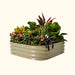 Tan corrugated metal raised garden bed with diverse, vibrant plants, colorful foliage, and orange, yellow flowers. Outdoor planter.