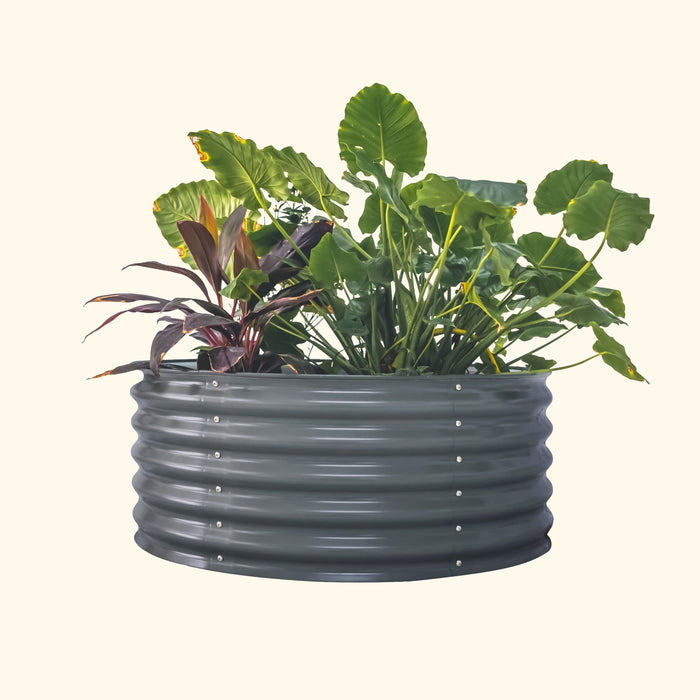 Dark grey round corrugated metal raised garden bed with lush green tropical plants and red foliage.