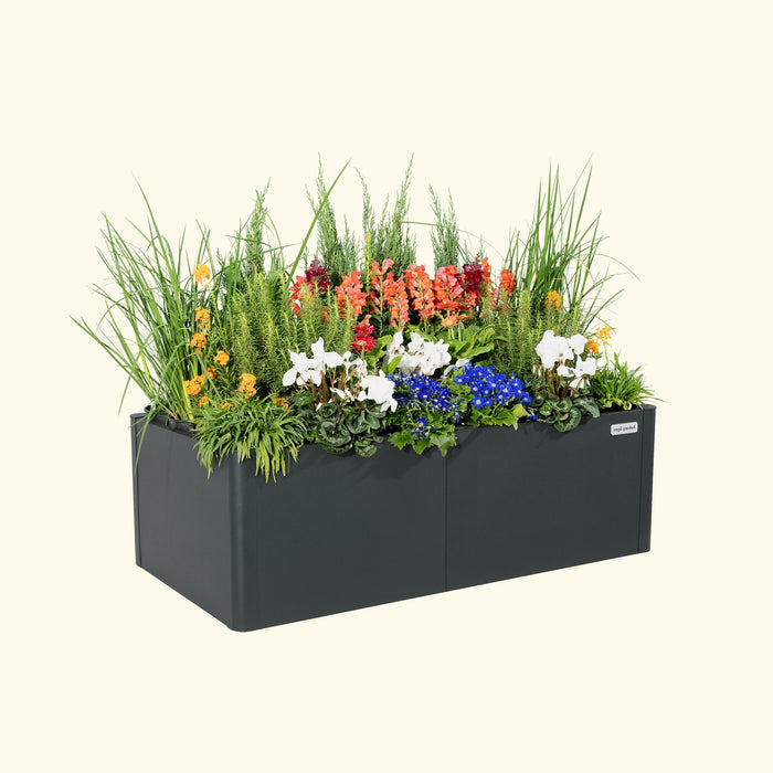 Modern anthracite raised garden planter box filled with vibrant snapdragons, white cyclamen, blue flowers, and green grasses.