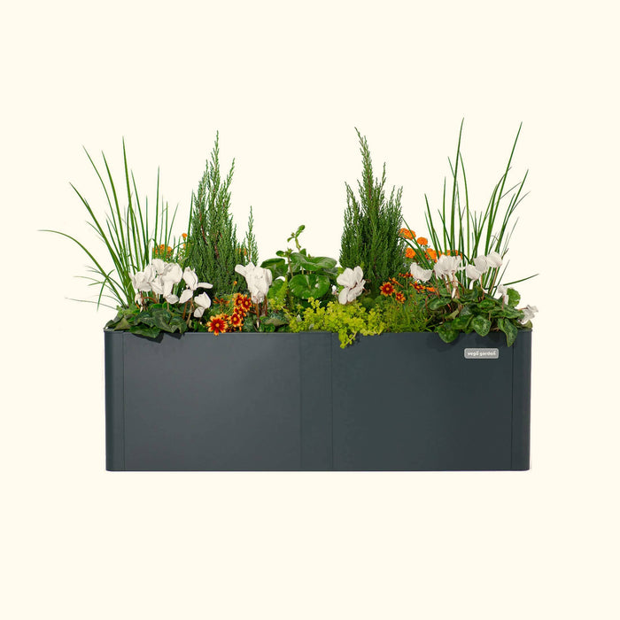 Vego Garden dark grey planter box with mixed plants: evergreen shrubs, white cyclamen, orange flowers, and grasses.