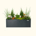 Vego Garden dark grey planter box with mixed plants: evergreen shrubs, white cyclamen, orange flowers, and grasses.