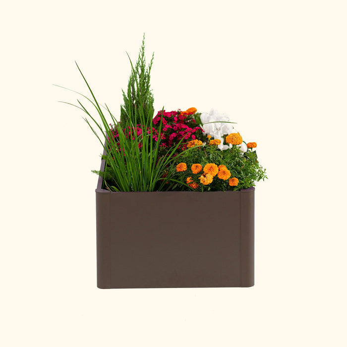 Modern dark brown rectangular planter filled with colorful pink, orange, white flowers, green grass, and small evergreen.