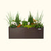 Vego Garden brown planter box with lush green grass, evergreen shrubs, white cyclamen, and vibrant orange flowers.