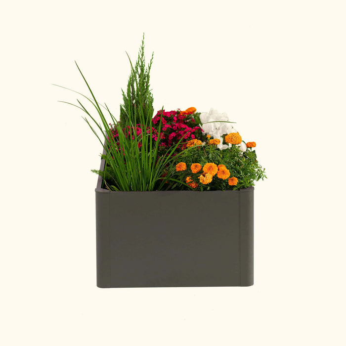 Dark gray rectangular planter with vibrant pink, orange marigolds, white flowers, evergreen shrub, and tall grass.