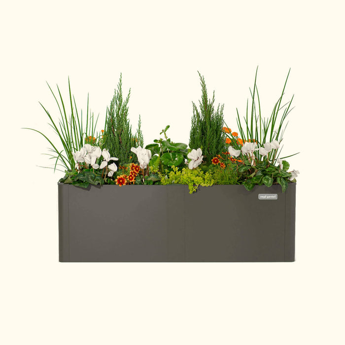 Vego Garden grey metal planter with ornamental grass, white cyclamen, orange flowers, and evergreen shrubs.