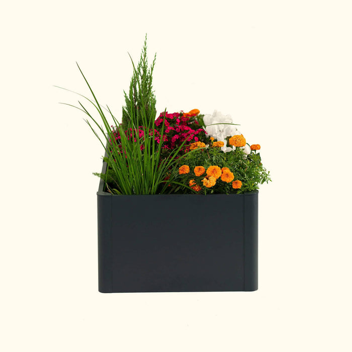Modern dark gray planter with vibrant pink flowers, orange marigolds, white blooms, green grass, and juniper.