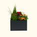 Modern dark gray planter with vibrant pink flowers, orange marigolds, white blooms, green grass, and juniper.