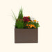 Brown rectangular planter box filled with vibrant pink, orange marigolds, white flowers, green grass, and evergreen shrub.
