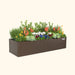 Vego Garden brown metal raised garden bed with colorful flowers, rosemary, and ornamental cabbage.