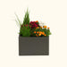 Anthracite rectangular flower box with vibrant pink, orange, white blooms, green grass, and a small conifer plant.