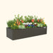Vego Garden dark metal raised garden bed planter filled with colorful flowers, green herbs, and ornamental kale.