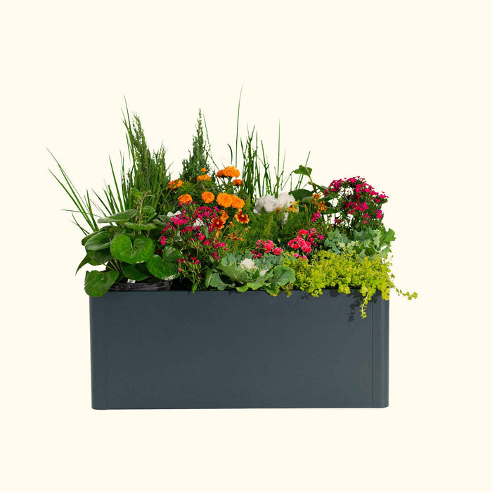Vibrant container garden in a dark grey modern planter box, featuring orange and pink flowers, diverse green plants.