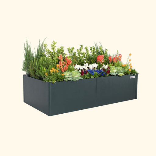 Assorted greenery and colorful flowers in a dark gray Vego Garden raised planter box.