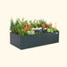 Assorted greenery and colorful flowers in a dark gray Vego Garden raised planter box.