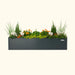 Dark grey modern planter box filled with white cyclamen, orange marigolds, green grasses, and evergreen shrubs.