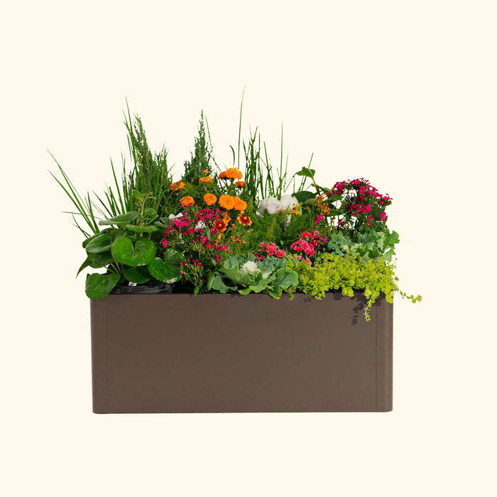 Vibrant container garden in a rectangular brown planter, featuring colorful flowers, ornamental kale, and lush foliage.