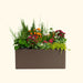 Vibrant container garden in a rectangular brown planter, featuring colorful flowers, ornamental kale, and lush foliage.