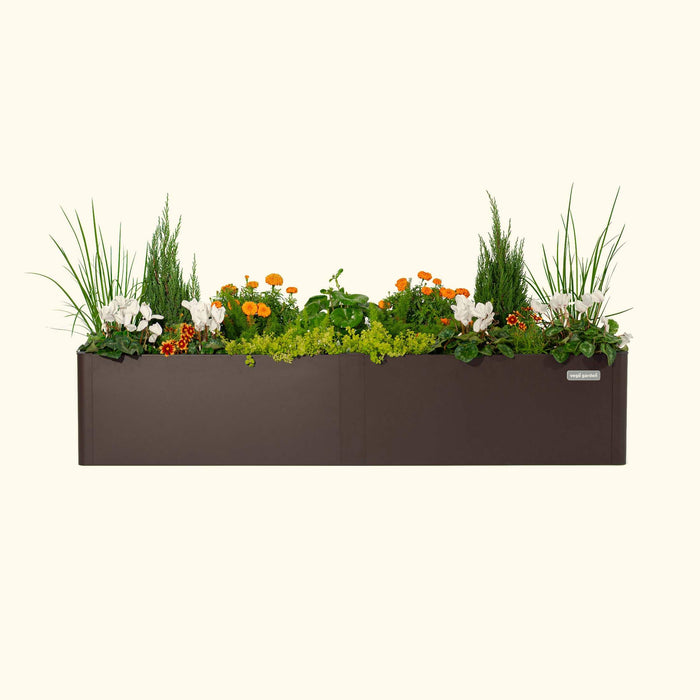 Vego Garden brown metal planter with white cyclamen, orange marigolds, evergreens, and diverse plants.