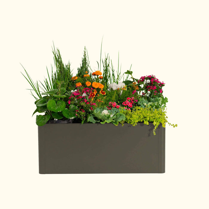 Vibrant container garden with colorful flowers, green herbs, and leafy plants in a modern rectangular dark gray planter.