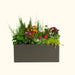 Vibrant container garden with colorful flowers, green herbs, and leafy plants in a modern rectangular dark gray planter.